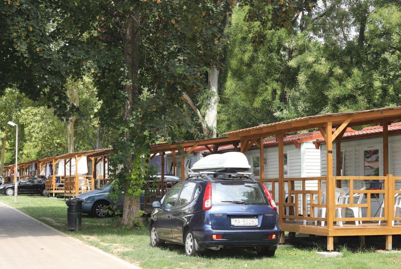 Balatontourist Fuered Camping & Bungalows Balatonfüred Εξωτερικό φωτογραφία